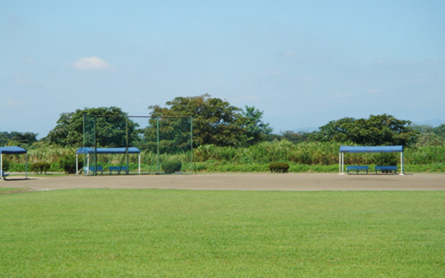 野球場